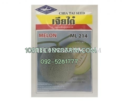 เมล่อนกุ้ยหลิน ML214   500 เมล็ด